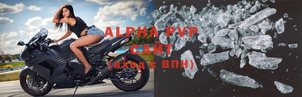 СК Белокуриха