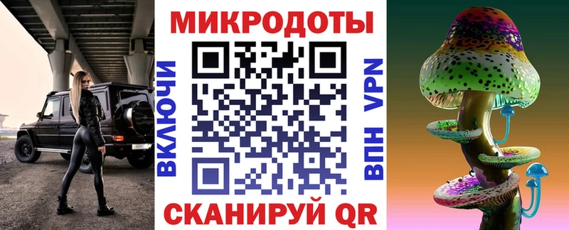 где купить Лабинск Псилоцибиновые грибы Cubensis
